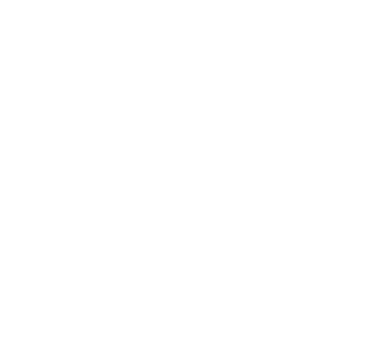 Dem Motors Ltd